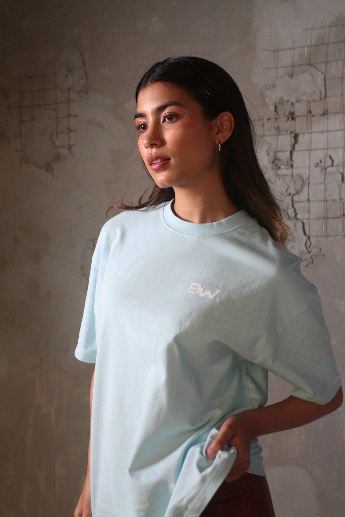 Atelier 300 GSM premium oversized tees in assorted colours – view 8