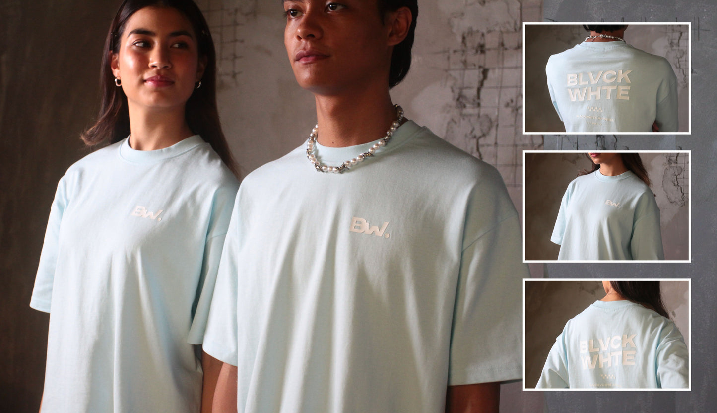 [NEW ARRIVAL] 300 GSM Premium Oversized Tees - Atelier Collection