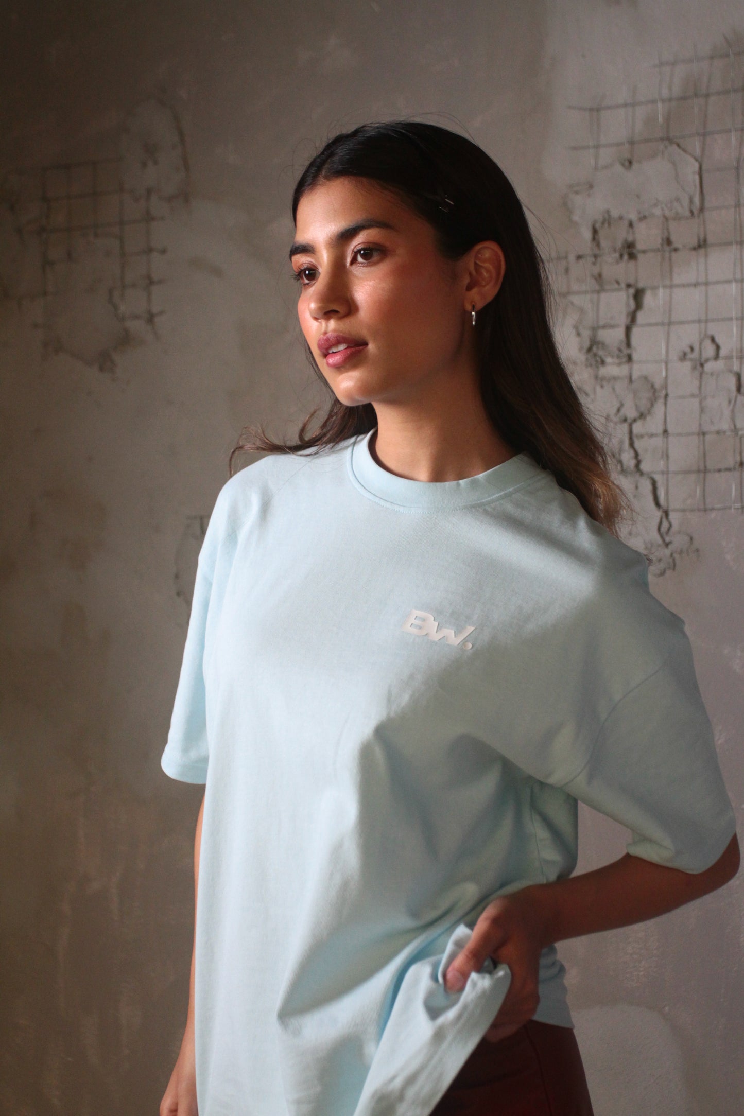 [NEW ARRIVAL] 300 GSM Premium Oversized Tees - Atelier Collection
