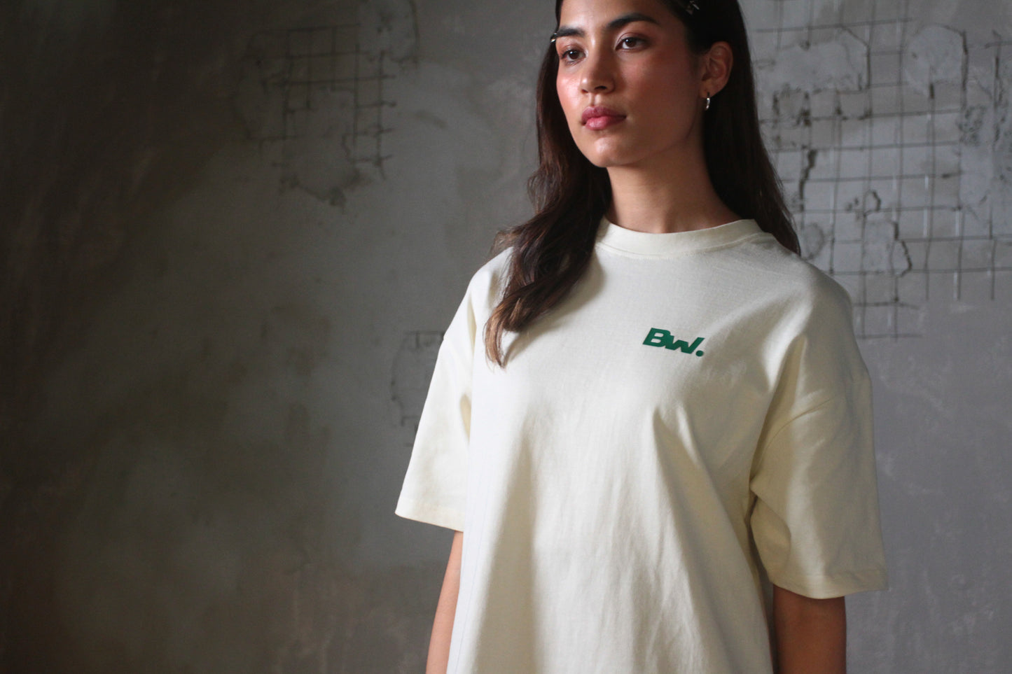 [NEW ARRIVAL] 300 GSM Premium Oversized Tees - Atelier Collection